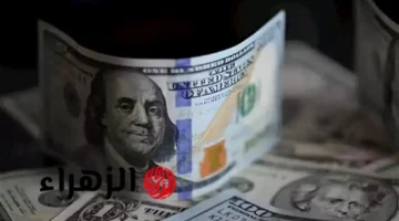 تحديثات طفيفة بالبنوك.. سعر الدولار أمام الجنيه المصري في تعاملات الثلاثاء بمصر